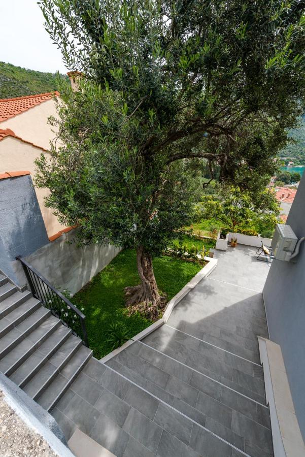 Villa Mardia Zaton  Extérieur photo