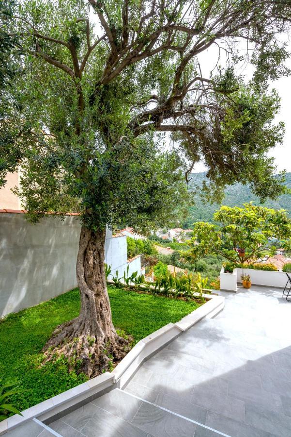 Villa Mardia Zaton  Extérieur photo